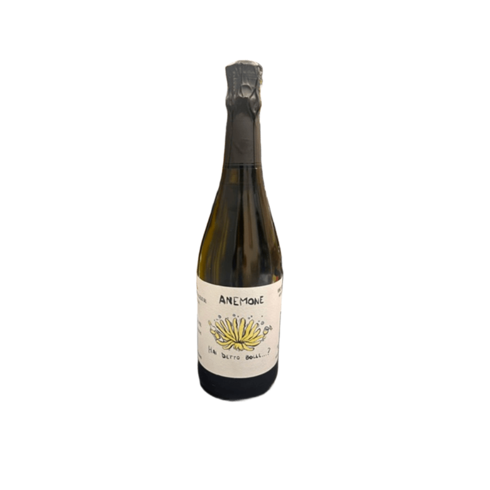 ANEMONE Vino Spumante Brut Metodo Martinotti PODERE IL GELSO