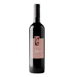 Arturo Barbera d'Asti DOCG 2024 Vigne dei Mastri